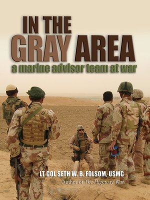 cover image of In the Gray Area